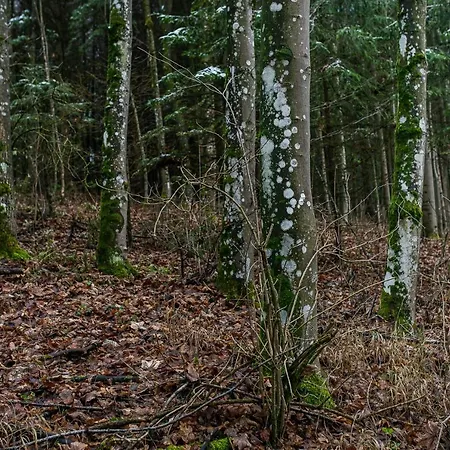 Huettenzauber Im Naturpark Altmuehltal Campsite Greding