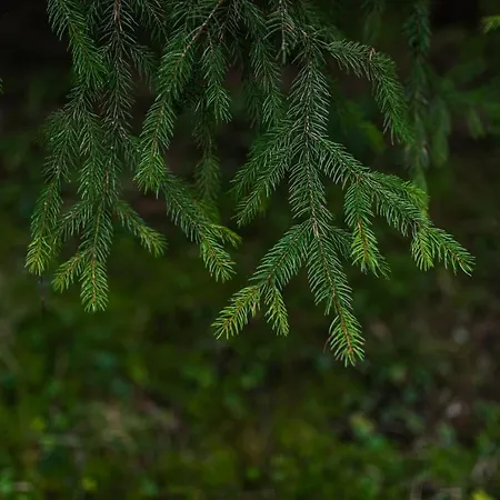 Huettenzauber Im Naturpark Altmuehltal Campingplatz Greding